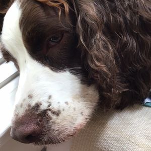 Meet your Posher, Becky